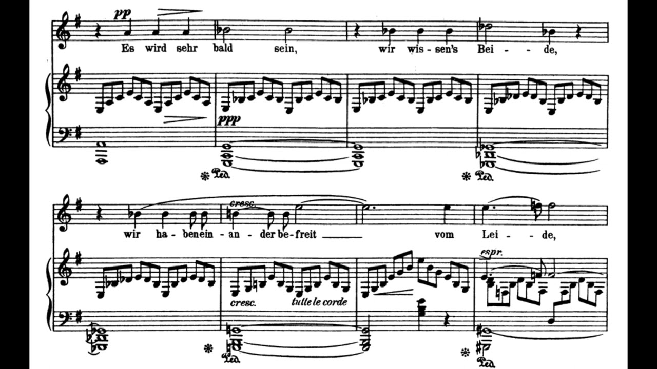 Befreit (R. Strauss) Score Animation