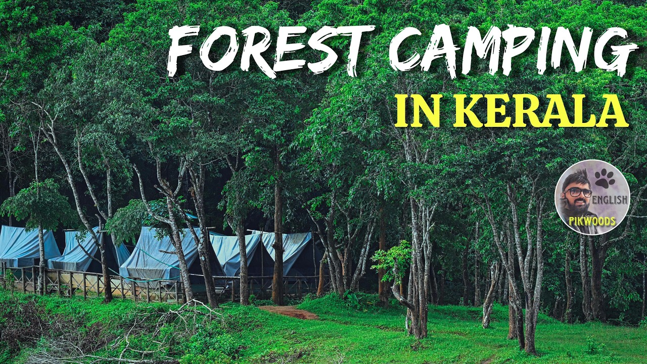 Tiger Trail Tent Camping inside Kerala Forest | Periyar National Park Trekking English 4K