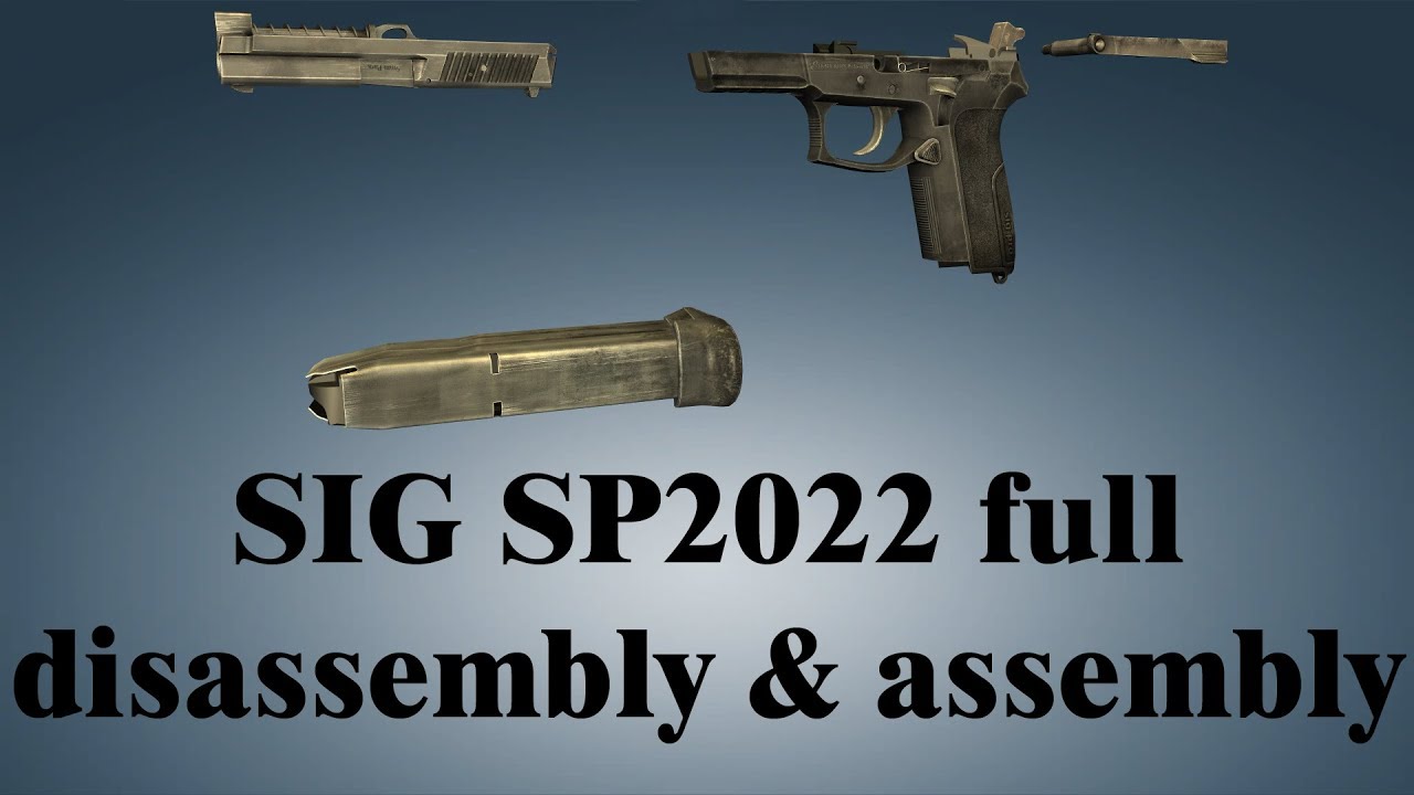 SIG SP2022: full disassembly & assembly | World of Guns