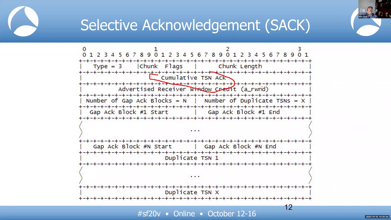 SF20V - 19 The Other Protocols (used in LTE) (Mark Stout)