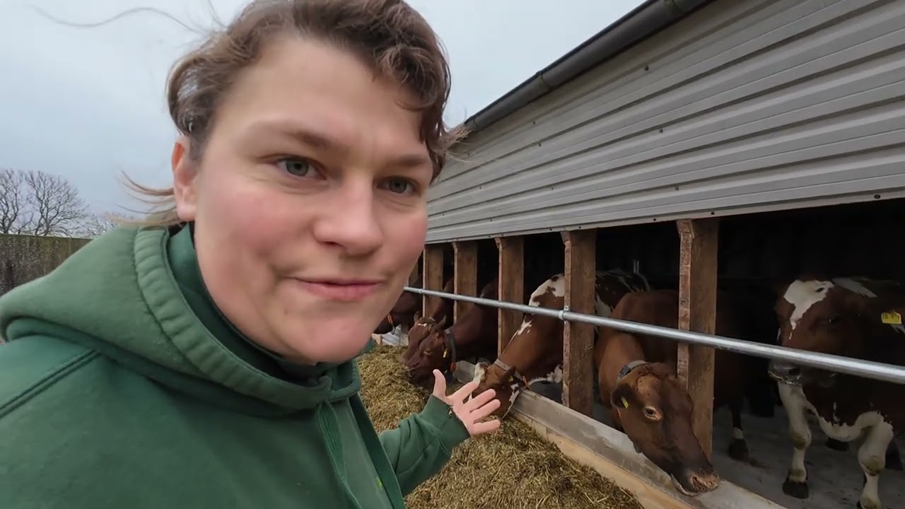 Vlog1- Tierwohl für unsere Kälber und Trockensteher
