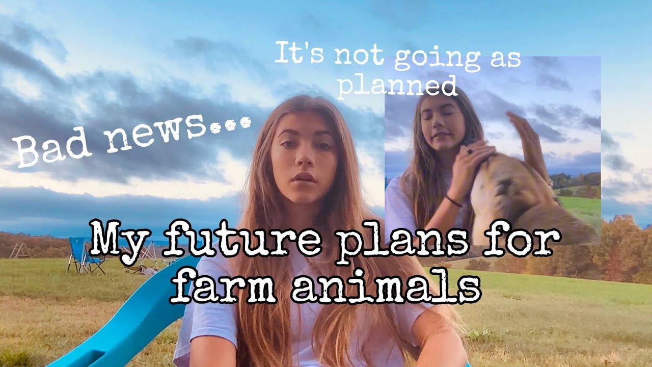 My future plan for farm animals. It&rsquo;s not going as planned. BAD NEWS! #farmlife #animallover