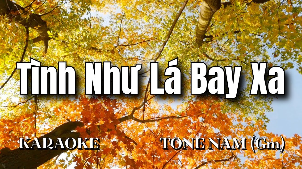 Tình Như Lá Bay Xa - Karaoke Tone Nam | Beat Chuẩn 2025 | Sam Karaokes