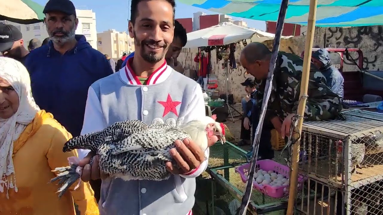 دائما مع جولتنا الصباحية من رحبة الدجاج البلدي والفيومي وبيبي سوق السبت بن سودة فاس