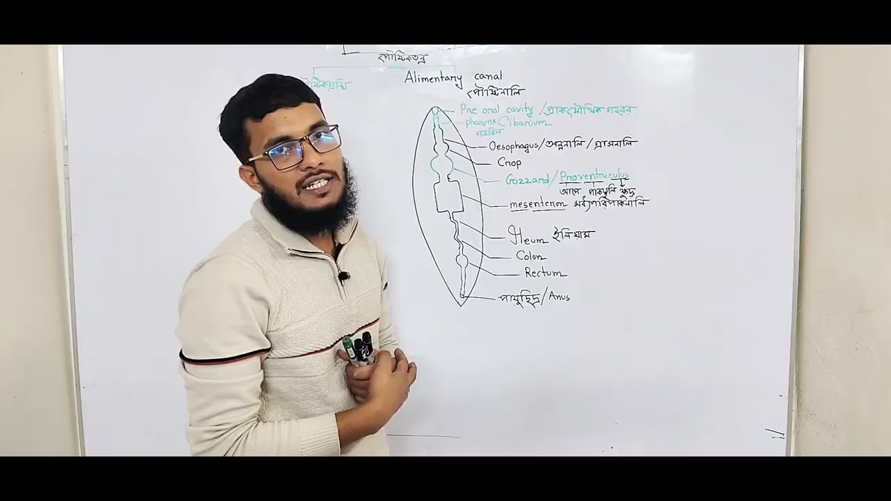 ঘাসফড়িং এর পৌষ্টিকতন্ত্র ০১। 