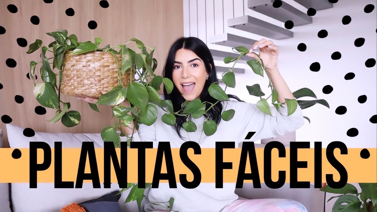 Plantas para ter DENTRO DE CASA