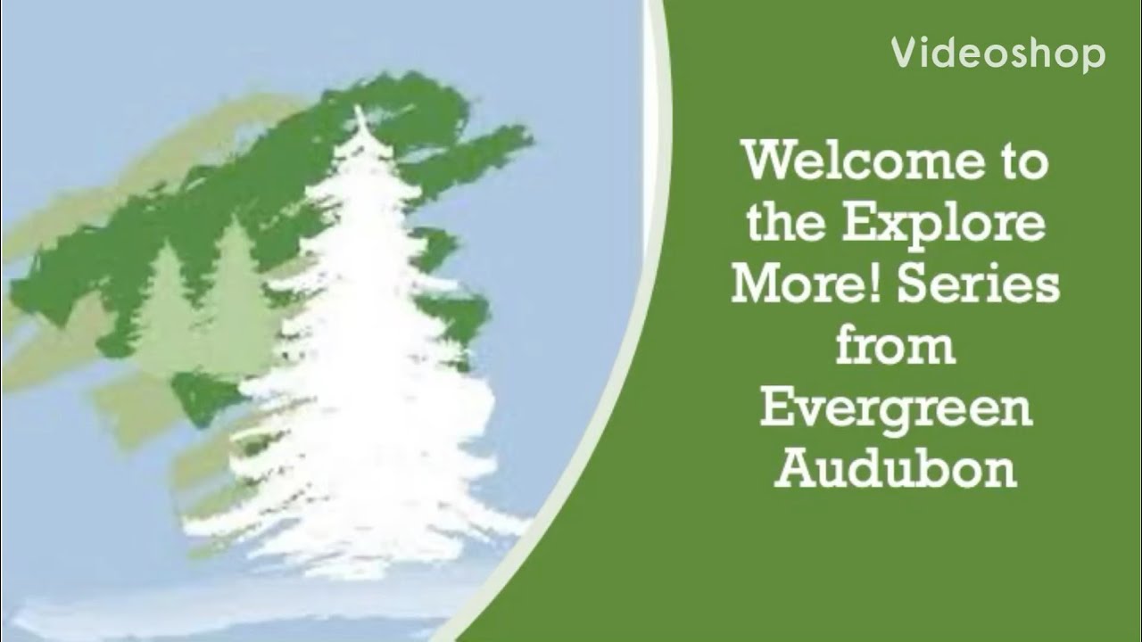 Explore More! Wildlife Challenge