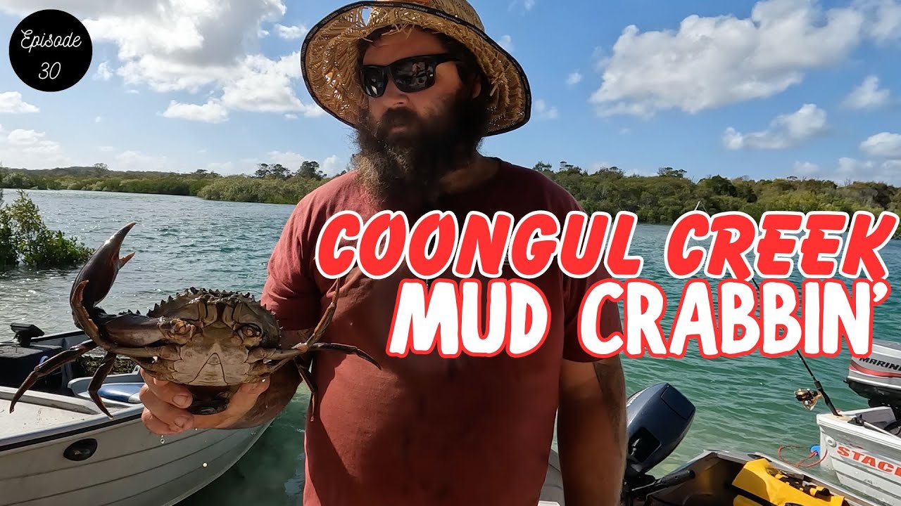CRABBING Coongul Creek - Part 4 of our K'gari Adventure