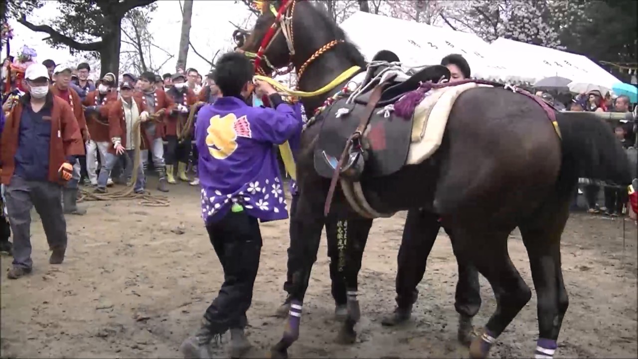 H29大社祭,上げ馬神事