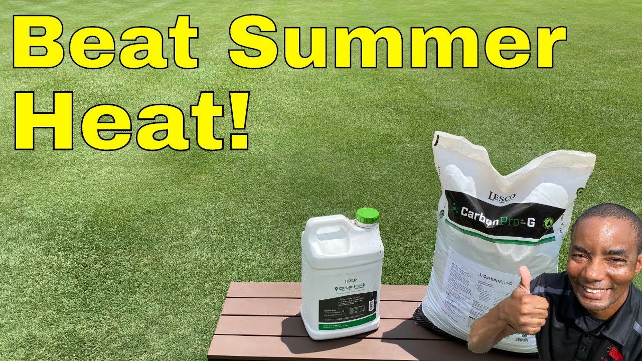 [GET a GREEN LAWN in SUMMER HEAT] - Protect Lawn with Carbon Sea Kelp