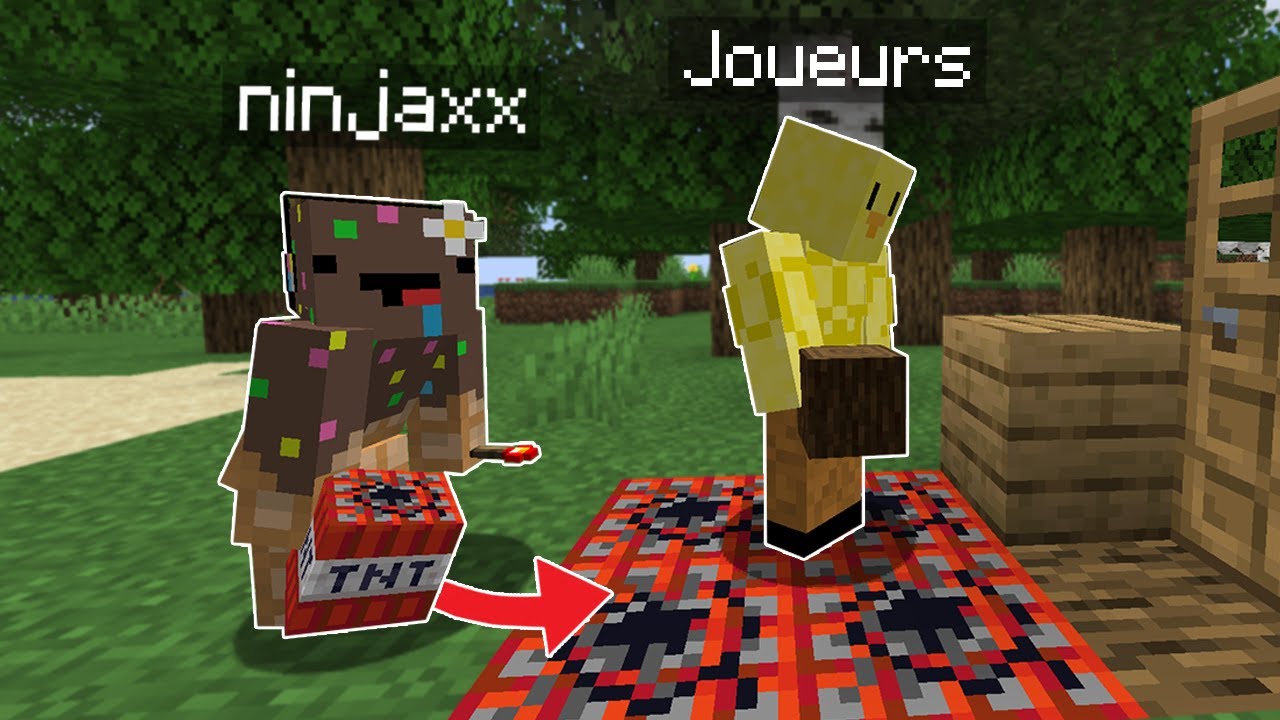 J'ai Hack des serveurs sur Minecraft.. (c'était marrant)