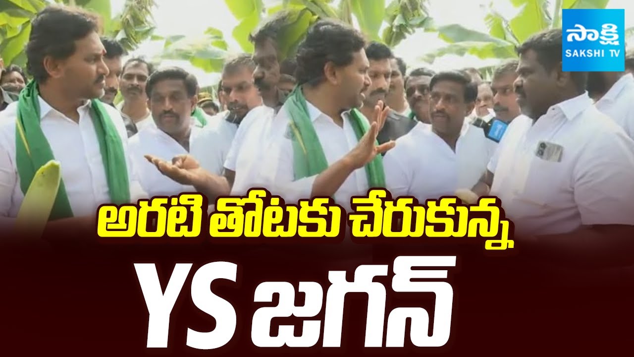 YS Jagan Reached Banana Field In Brahmanapalle Pulivendula | YSR Kadapa District | @SakshiTV