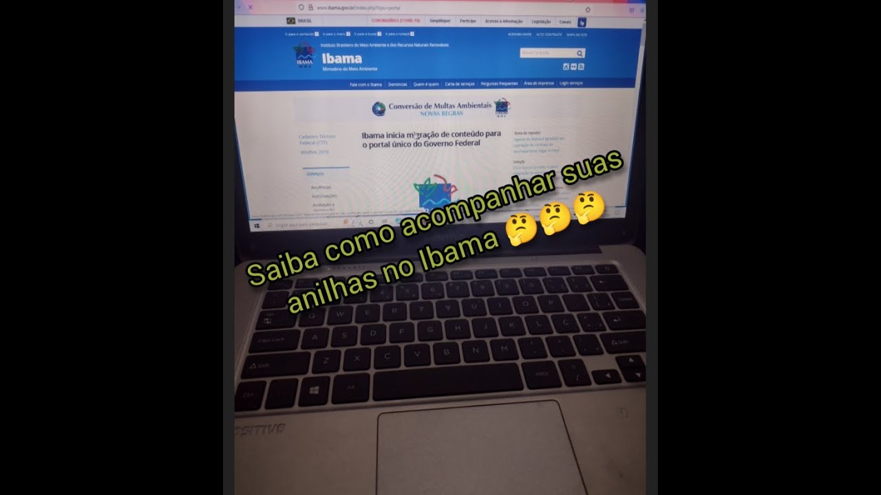 #anilhas Como acompanhar pedidos de anilhas em 2022 vejam