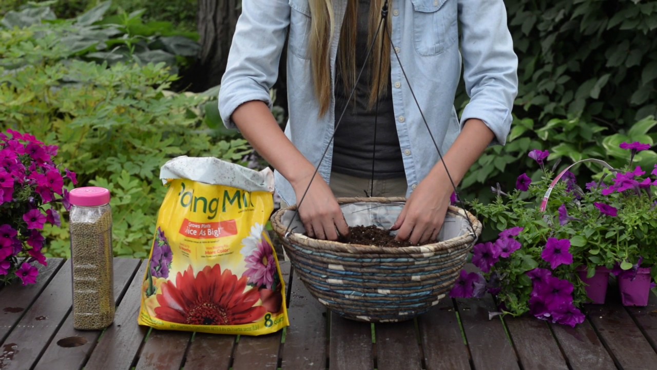 Planting the Perfect Wave Petunia  Hanging Basket (full version)