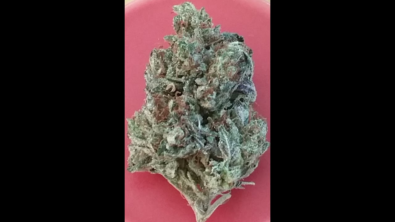 Holy Grail Kush by Apelles Cultivation Review
