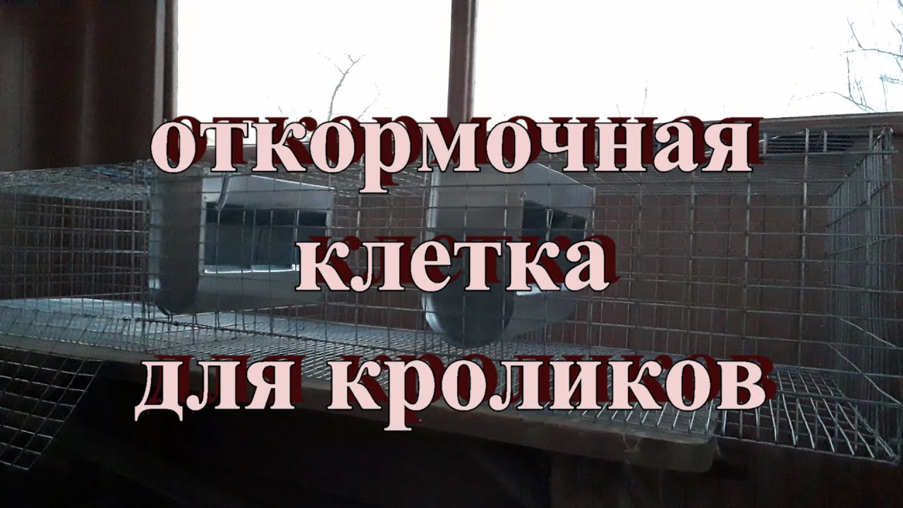 Откормочная клетка для кроликов