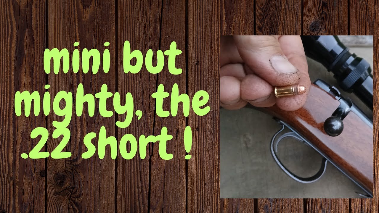 The .22 Short-Mini but Mighty