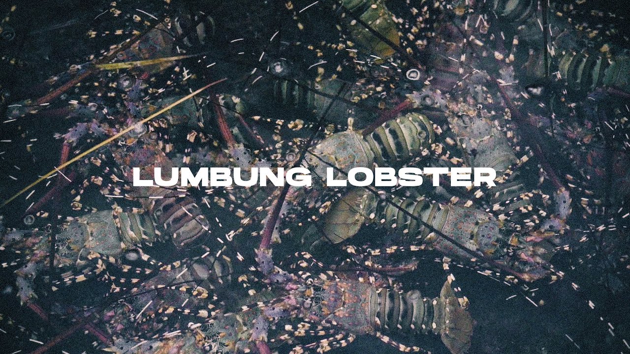 Lumbung Lobster