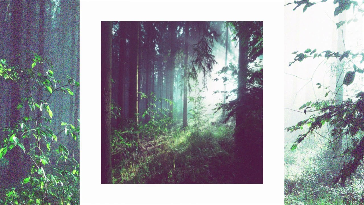 Leonardus - House In The Woods