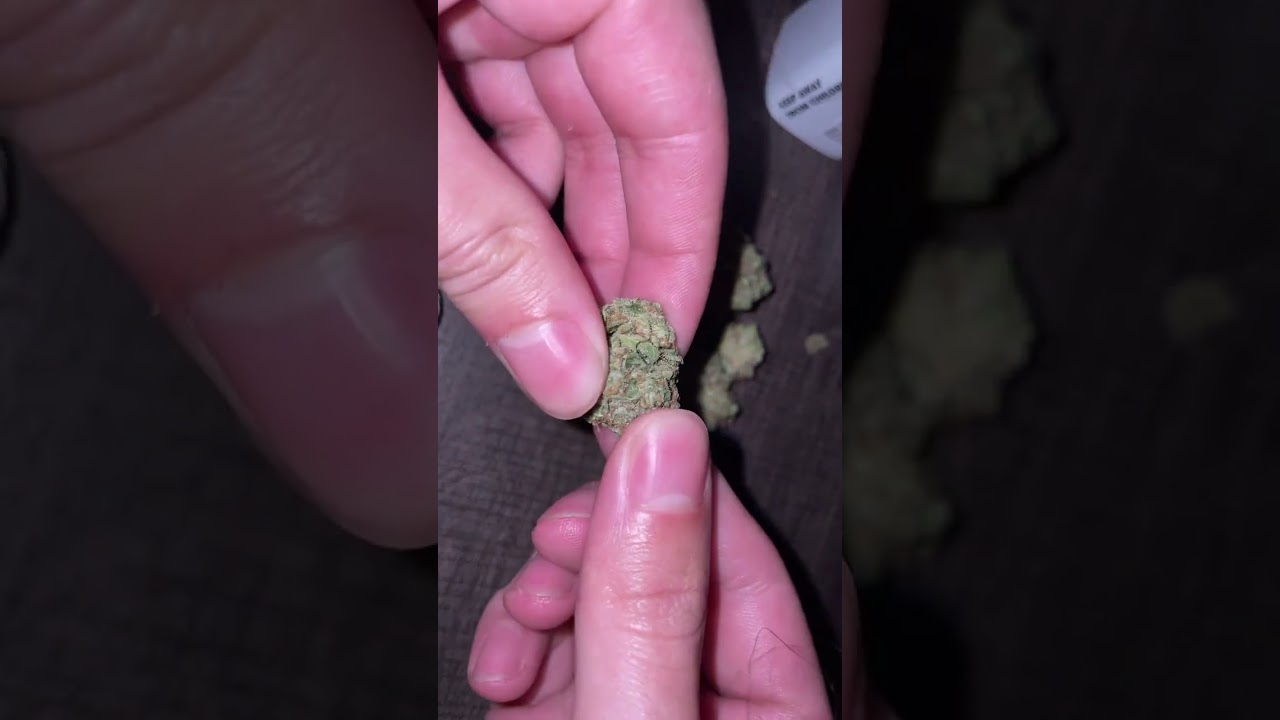 Bud breakdown. cream cake mintz (Sunny side,FL)