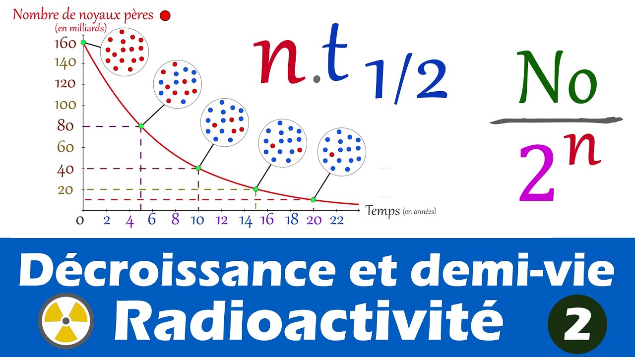 Demi-vie et décroissance radioactive (complément : formule) 1ère enseignement scientifique