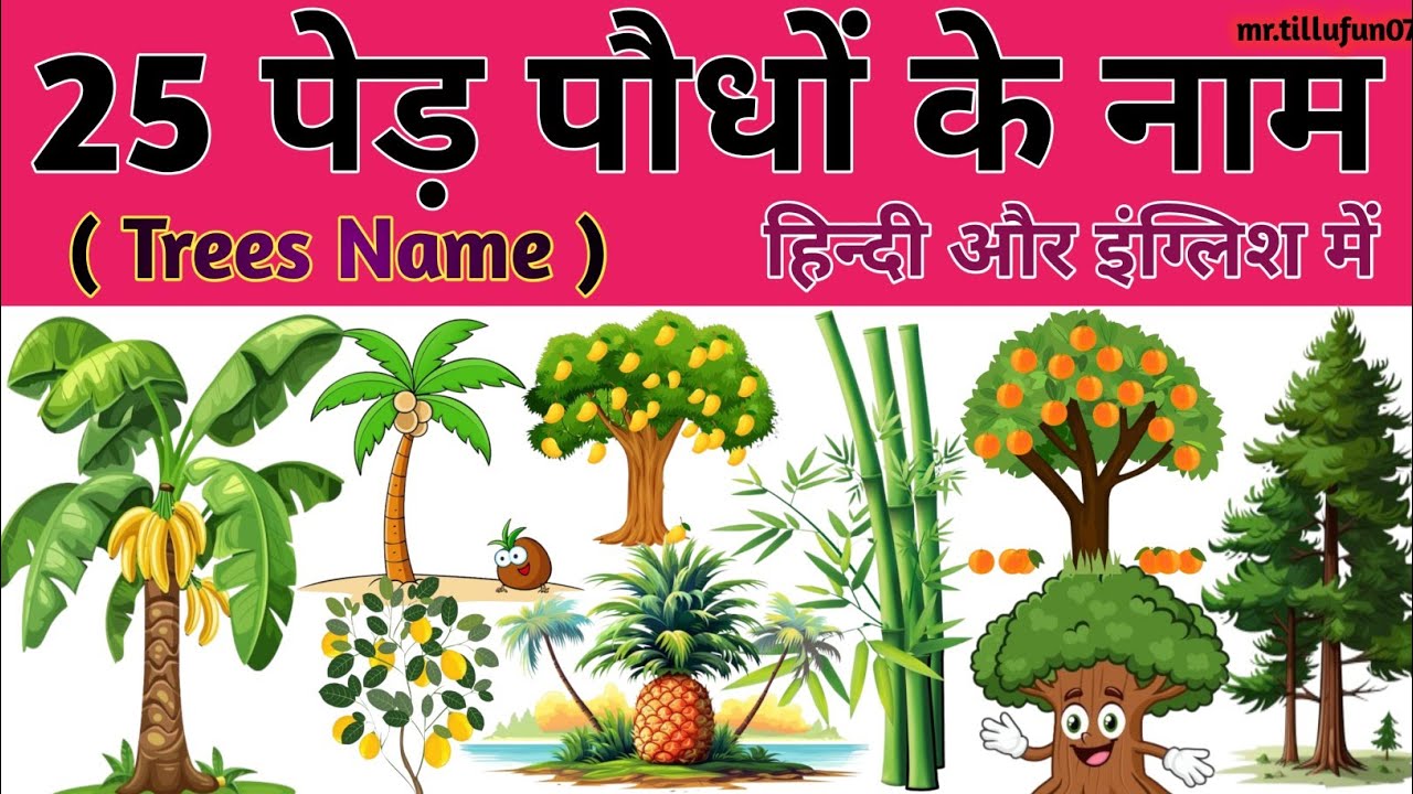 25 Trees Name in English and Hindi | पेड़ों के नाम | Learn Tree Names with Fun! 🌳 | Trees Name #kids