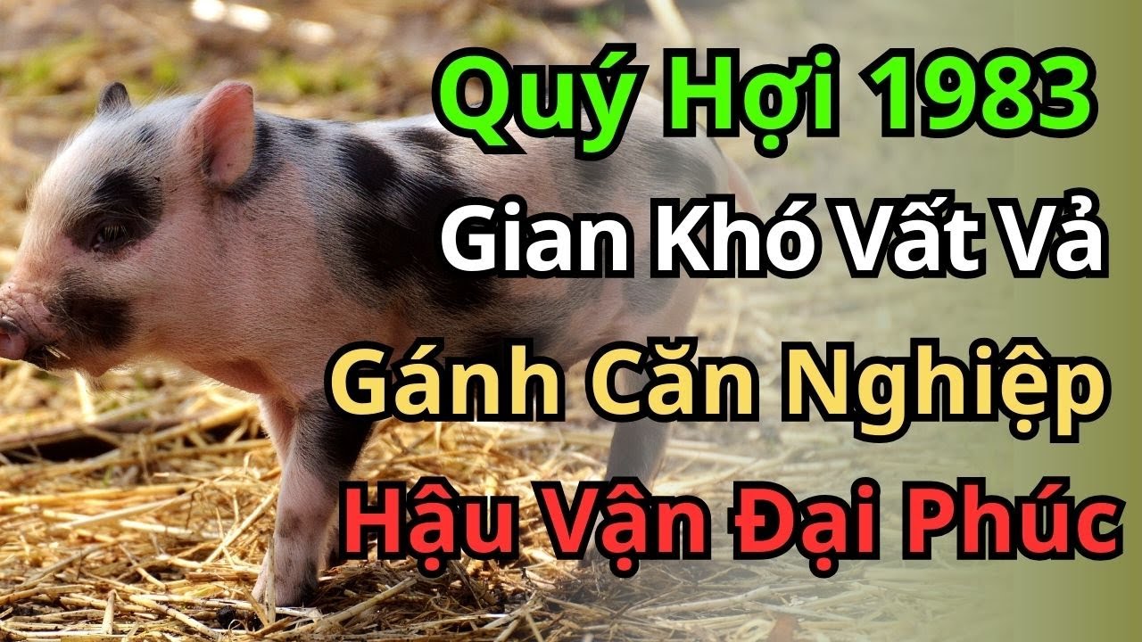 Vận Số Quý Hợi 1983: Khi Gánh Nặng Hóa Vàng Ròng – Thời Kỳ Hoàng Kim Đang Đến