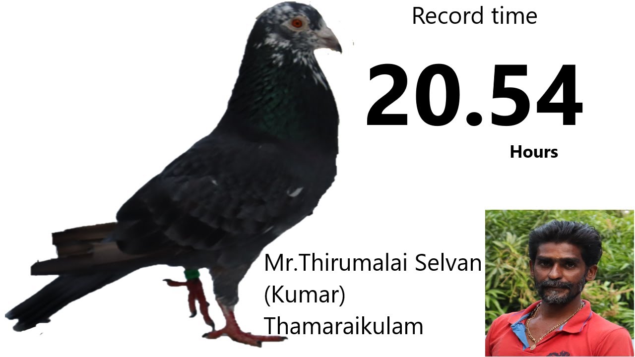 Mr.Thirumalai Selvan(kumar)