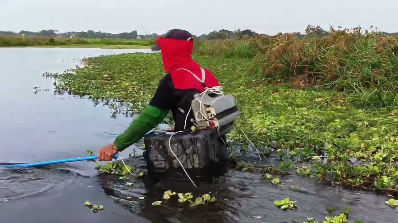 EP,124 electric fishing umaangat ang tilapia Catch and Cook🐟🌾
