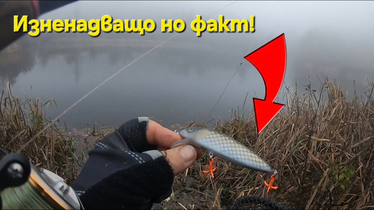 ПРИМАМКАТА... която не планирах да показвам I Build to catch