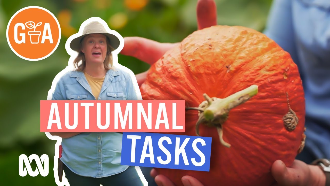 Autumn Jobs to Start NOW | Gardening Hacks | Gardening Australia