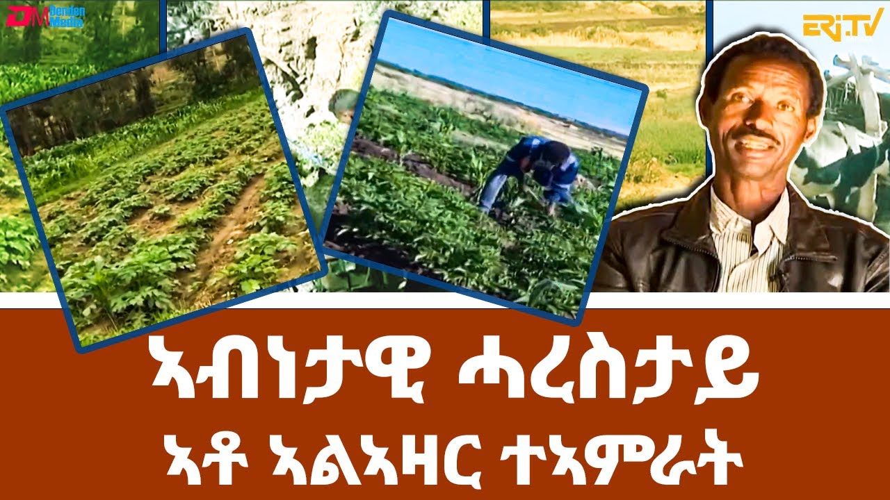 ፍረ ጻዕሪ ፡ ኣብነታዊ ሓረስታይ ኣቶ ኣልኣዛር ተኣምራት | Exemplary farmer Mr. Alazar Teamrat | ERi-TV