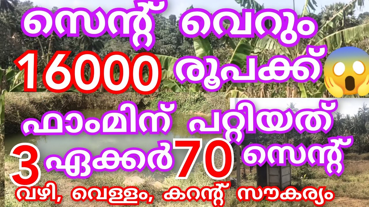 EP:555 |സെന്റ് 16000 രൂപക്ക്..😱3 ഏക്കർ 70 സെന്റ് വൻ വിലക്കുറവിൽ ഒറ്റപ്പാലം അടുത്ത് 😱#farm #lowbudget