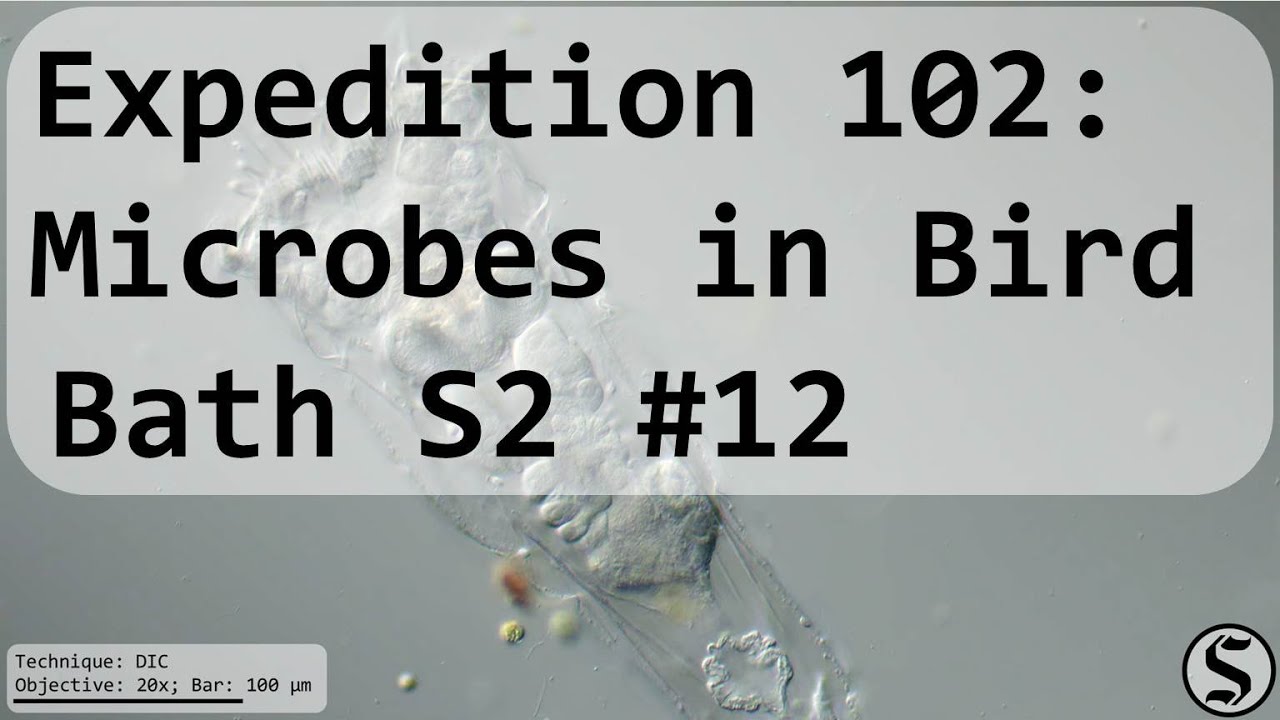 Expedition 102  - Microbes in Bird Bath S2 #12