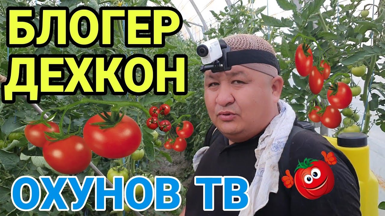 БЛОГЕРНИ УЙДАГИ БИЗНЕСИ / БЛОГЕРДАН КАНДАЙ ДЕХКОН ЧИКАДИ(ОХУНОВ ТВ)
