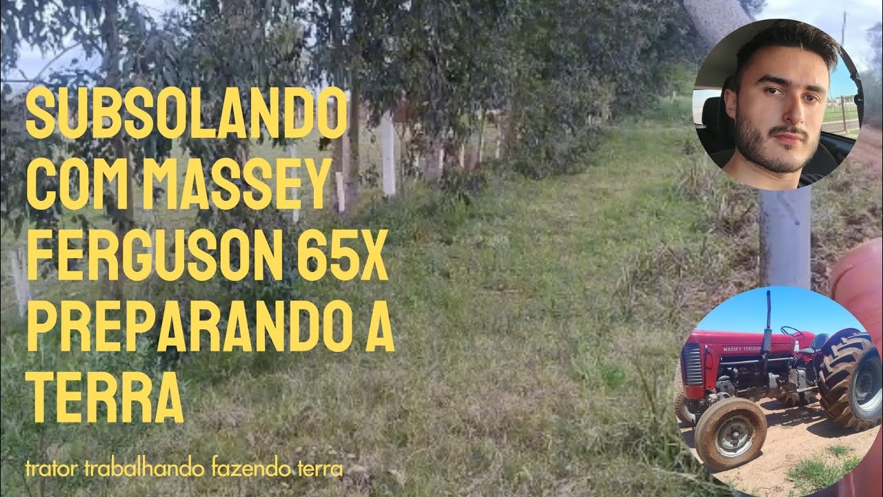 Subsolando com Massey Ferguson 65x 🚜🇧🇷💯💰, preparando a terra 