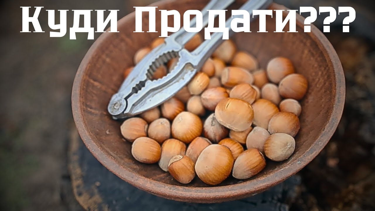 ✅🌰🌳Фундук ЗАВОДИ. Шо по ЧОМУ???*2026