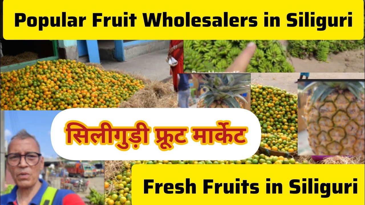 🍒सिलीगुड़ी 🍉फ्रूट मार्केट🍓 Popular 🍓 fruit 🍑 wholesaler in Siliguri 🥭 fresh fruit in Siliguri 🍍🥝🍏🍇🍎