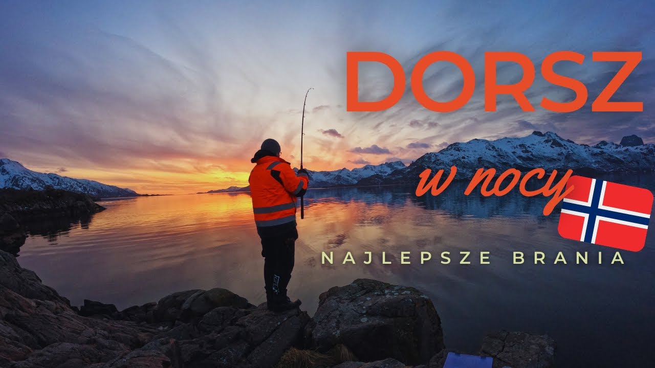 ryby na #spinning/zachód słońca/dorsz na cannibala