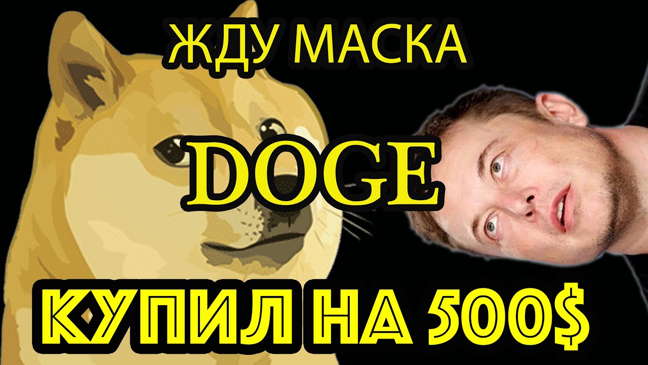 ДОГИ КОИН ИЛОН МАСК  dogecoin как купить doge коин dogecoin 2021 dogecoin обзор