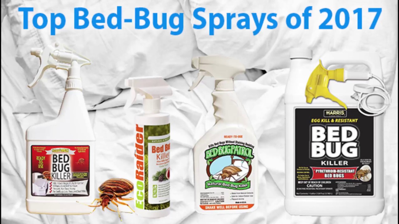 Top Bed Bug Sprays 2017