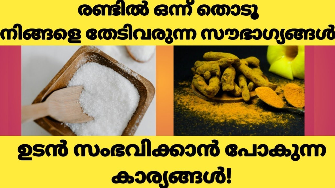 രണ്ടിൽ ഒരു ചിത്രം തിരഞ്ഞെടുക്കൂ,നിങ്ങളുടെ ഇപ്പോഴത്തെ അവസ്ഥയും നടക്കാൻ പോകുന്ന കാര്യങ്ങളും അറിയാം