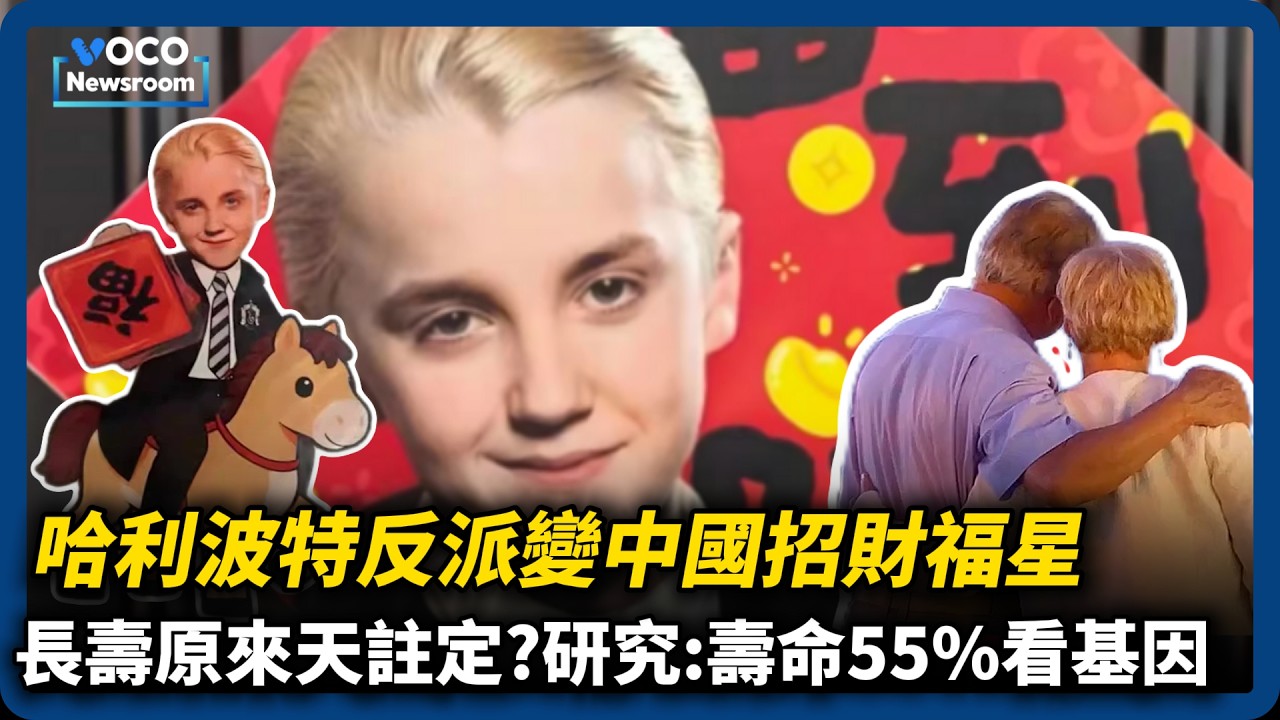 哈利波特反派翻紅，中國民眾搶買馬爾福春聯｜AI醫生三年內取代人類？｜長壽原來天註定？研究曝壽命大多看基因｜VOCO新聞室