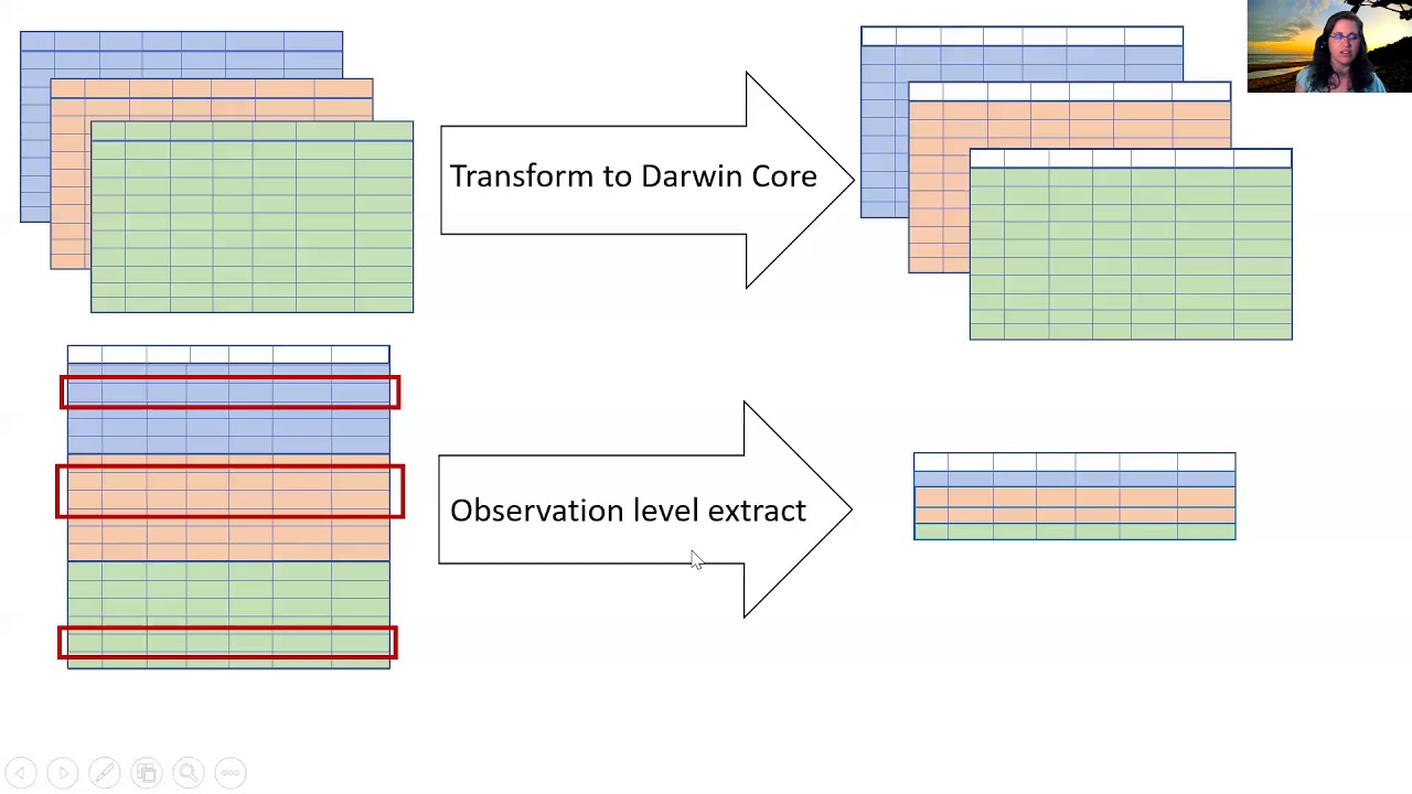 Darwin Core: Standardizing and integrating biological observations