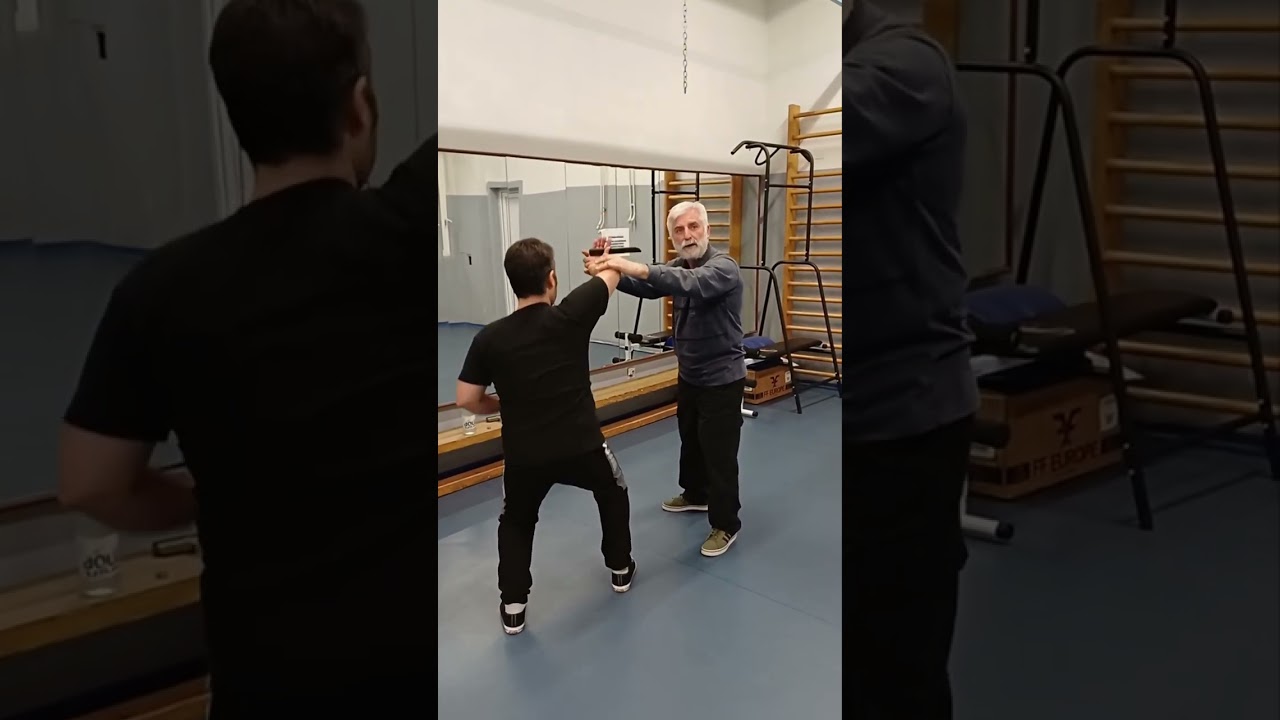 Wing Chun Combat System Serbia Aikido seminar 09.02.2026