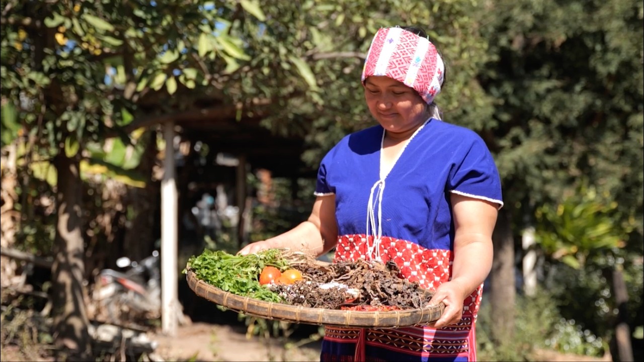 Soberania Alimentaria Indígena: Recetas de Resiliencia