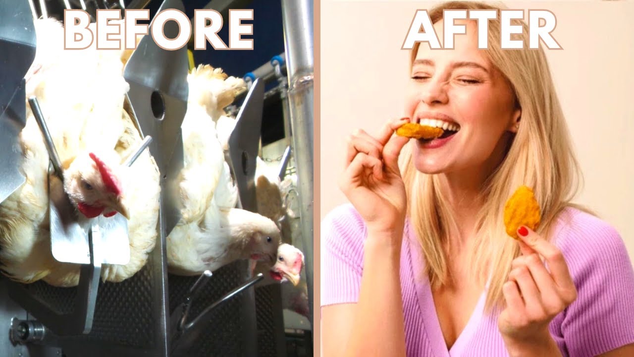 This Is How Chicken Meat Is Processed, It&rsquo;s Way Worse Than You Thought!