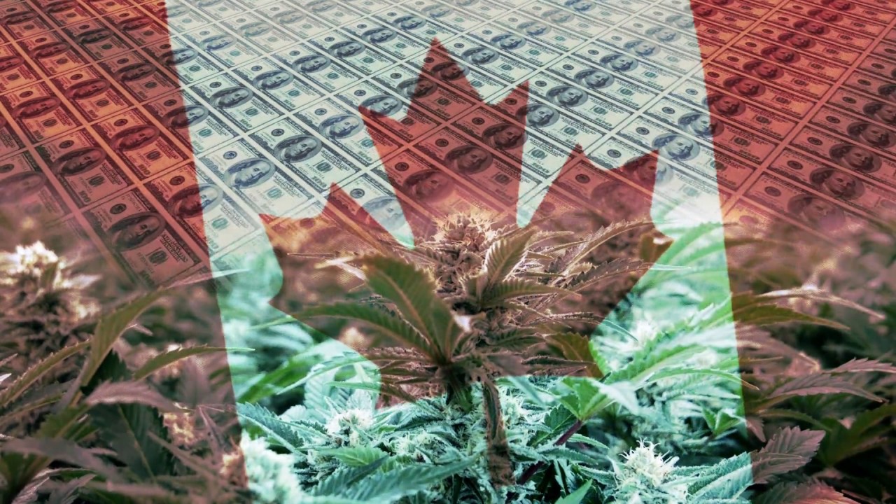 TSX.V: ABcann Global