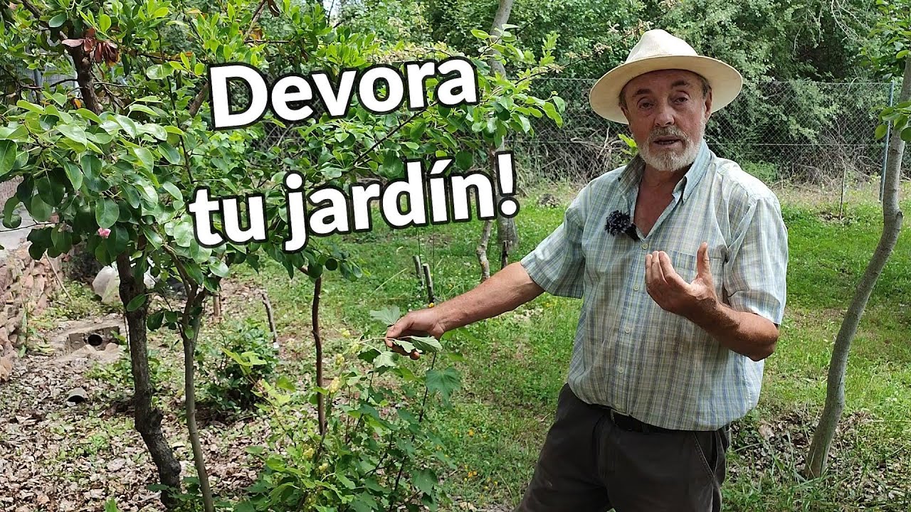 Nuestro jardín es un huerto! TOUR por los frutos del bosque