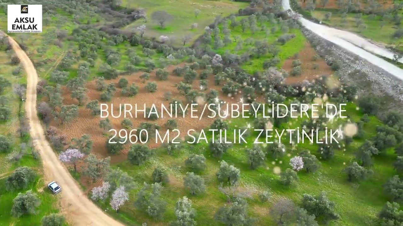 Burhaniye Sübeyliderede 2960 m2,Çift Yola Cephe Verimli Zeytinlik